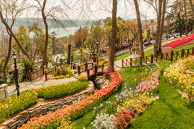 Çiçek Koklama Yürüyüşü